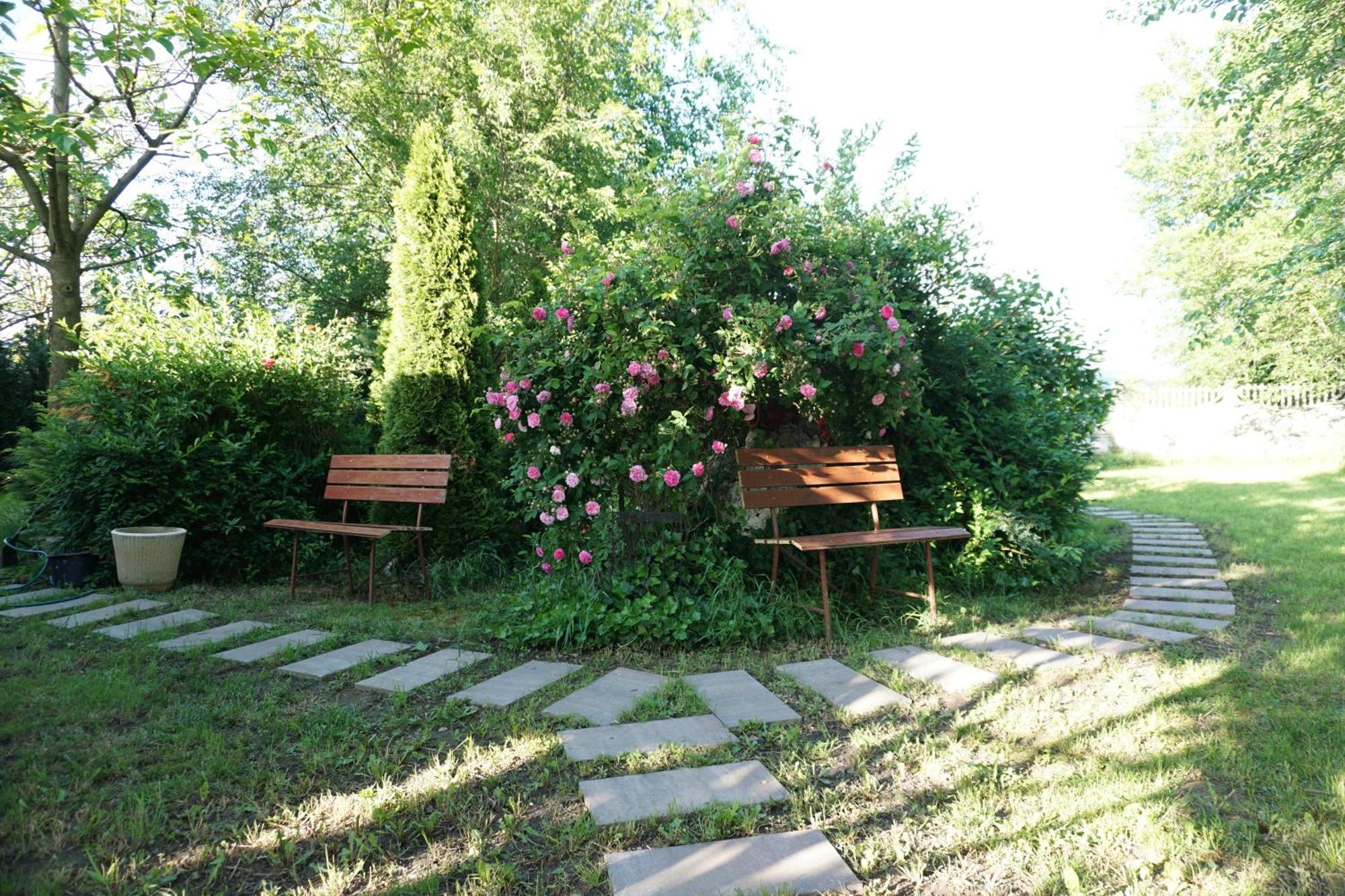 Villa Hanna'S Garden - Mintia Exterior photo
